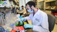 Researcher works in a lab